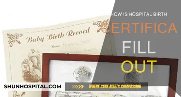 Hospital Birth Certificate: Filling Out the Form