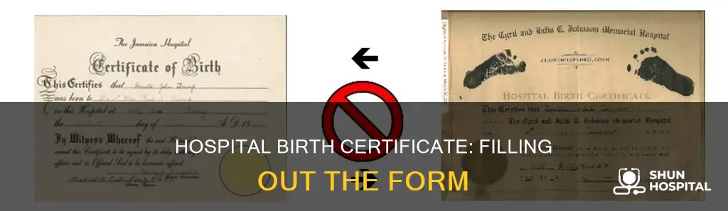 how is hospital birth certificate fill out
