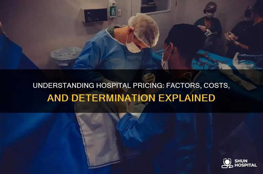 how is hospital pricing determined mark all that apply