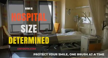 Understanding Hospital Size: Factors That Determine Capacity and Scale