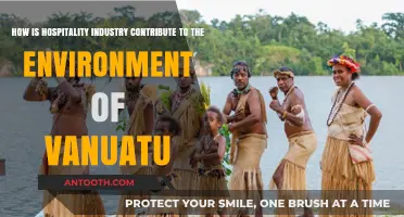 Vanuatu's Hospitality Sector: Sustainable Practices and Environmental Impact