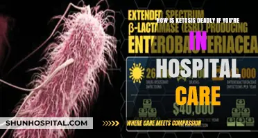 Ketosis in Hospital Care: Potential Deadly Risks Explained