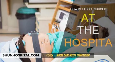 Inducing Labor: Hospital Methods and Procedures