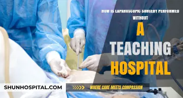 Performing Laparoscopic Surgery Outside Teaching Hospitals: Techniques and Challenges
