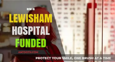 Understanding Lewisham Hospital's Funding Sources and Financial Management