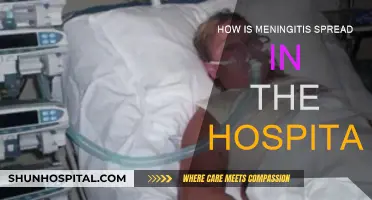 Meningitis Hospital Spread: Understanding the Risk and Prevention