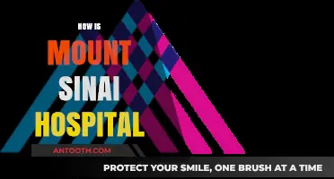 Exploring Mount Sinai Hospital: Excellence in Healthcare and Innovation