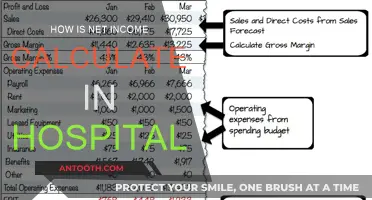 Net Income Calculation: Hospital Edition