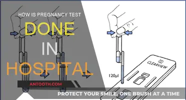 Pregnancy Testing: Hospital Procedures Explained