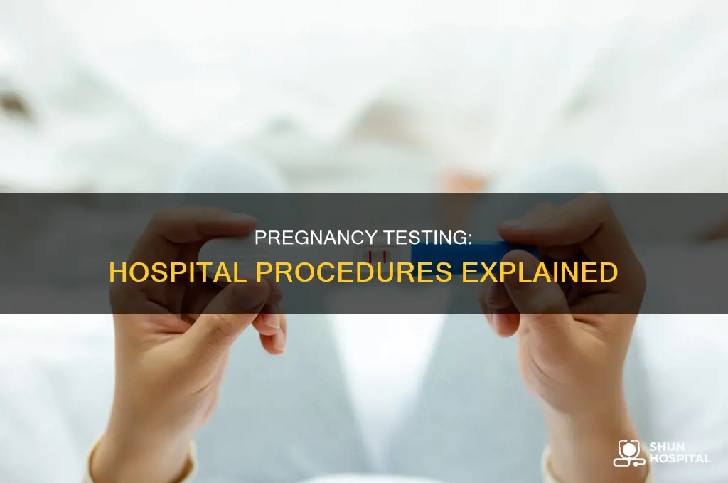 how is pregnancy test done in hospital