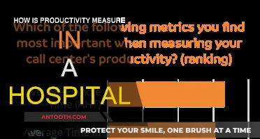 Productivity Metrics: Improving Hospital Efficiency