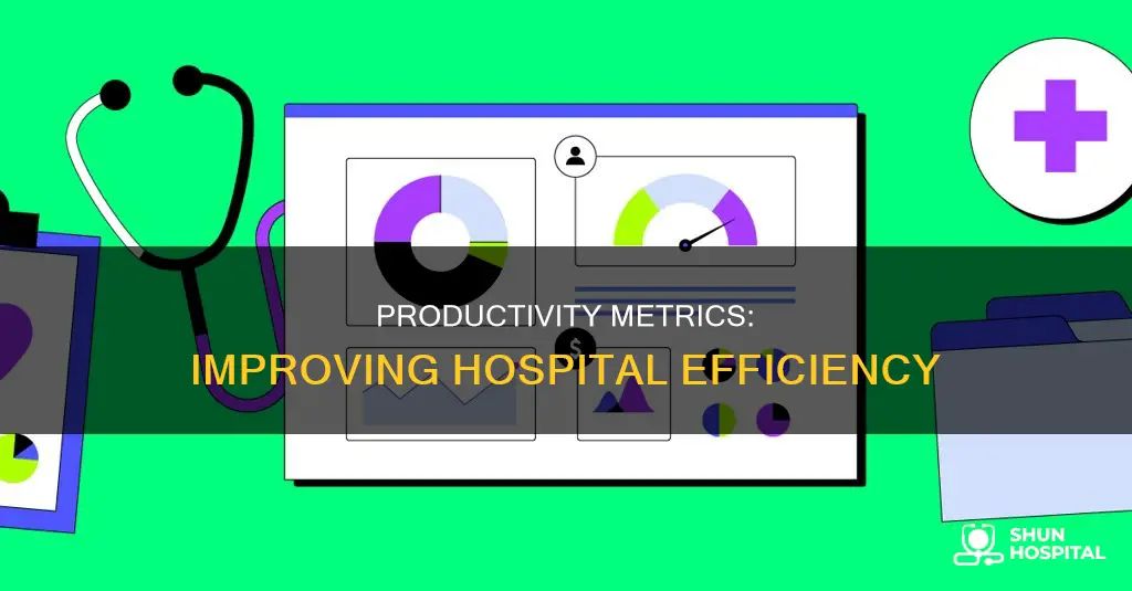 how is productivity measure in a hospital
