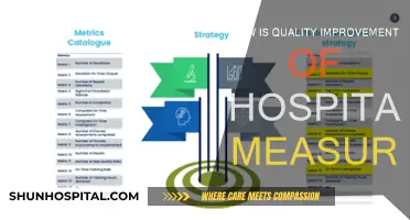 Improving Hospital Quality: What Metrics Matter?