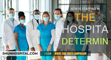 Staffing Strategies: Hospitals' Workforce Planning