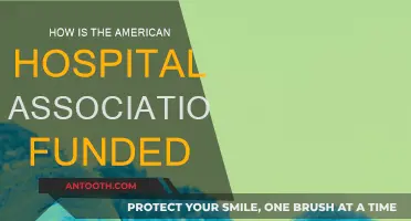 Funding Sources of the American Hospital Association