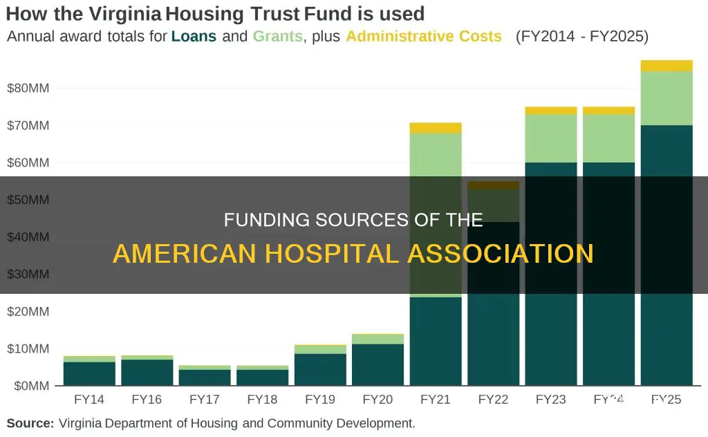 how is the american hospital association funded