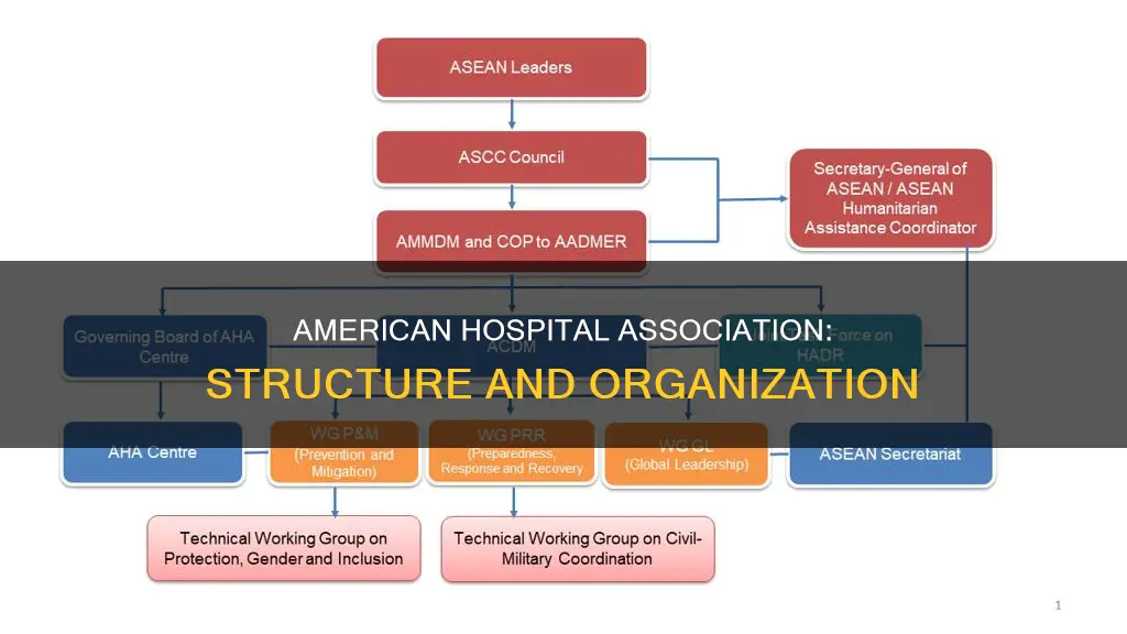 how is the american hospital association organized