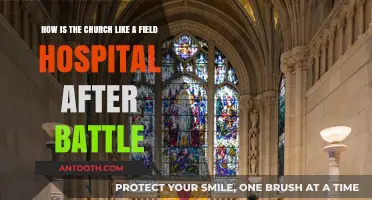 The Church as a Field Hospital: Healing Souls After Life's Battles