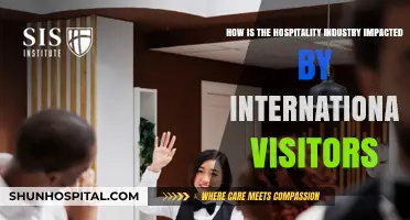 Global Travelers Transforming Hospitality: Trends, Challenges, and Opportunities