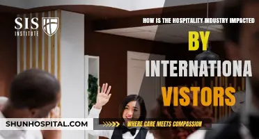 Global Travelers Transforming Hospitality: Trends and Impacts of International Visitors