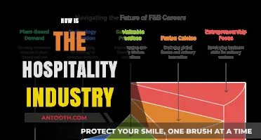 Exploring the Evolving Landscape of the Hospitality Industry Today