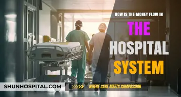 Understanding Hospital Finances: Tracing the Money Flow in Healthcare Systems