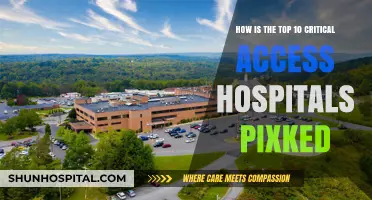 Unveiling the Criteria for Selecting Top Critical Access Hospitals