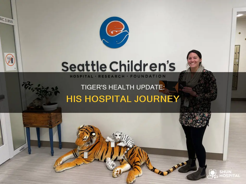 how is tiger doing in the hospital