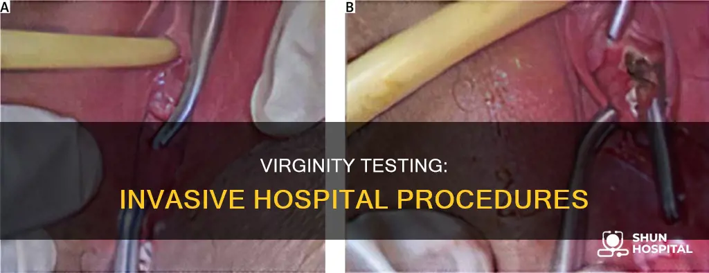 how is virginity test done in hospitals