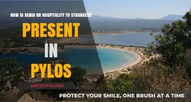 Xenia's Legacy: Exploring Pylos' Ancient Hospitality to Strangers