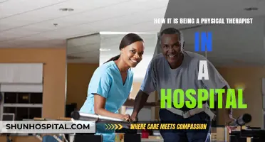 Hospital Physical Therapy: Challenges, Rewards, and Daily Life Insights