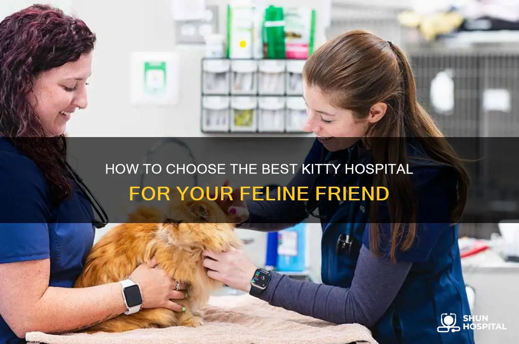 how kitty hospital
