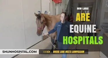 Exploring the Size and Scale of Modern Equine Hospitals