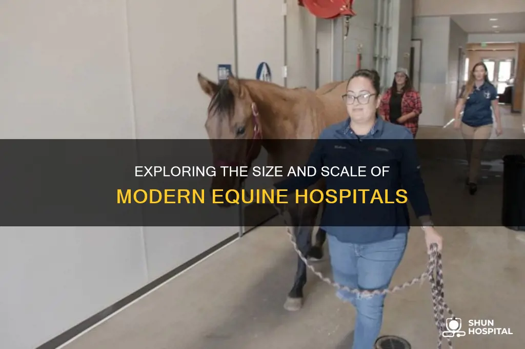 how large are equine hospitals