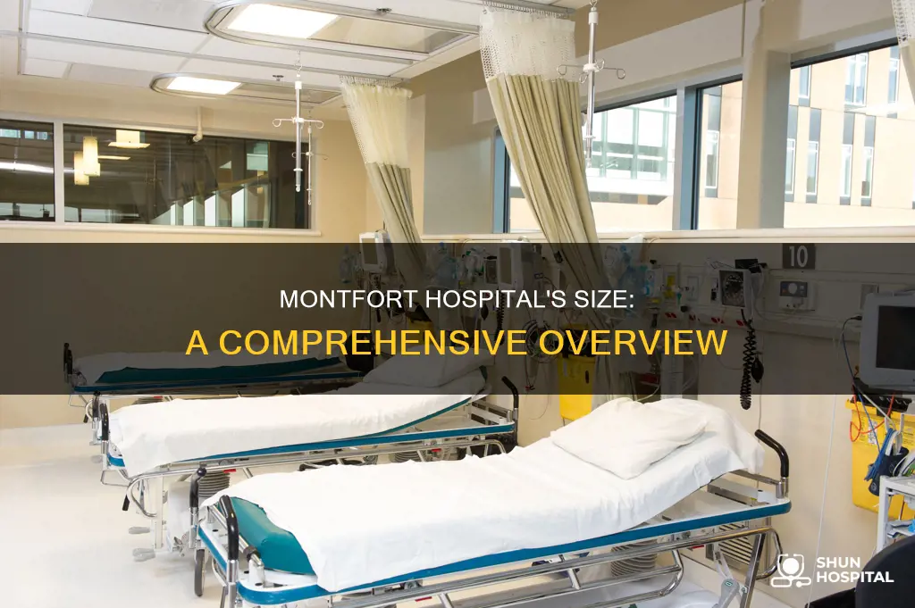 how large is montfort hospital in ontario
