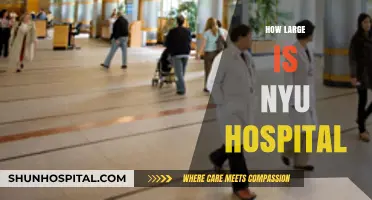 Exploring NYU Hospital's Size: A Comprehensive Overview of Its Scale