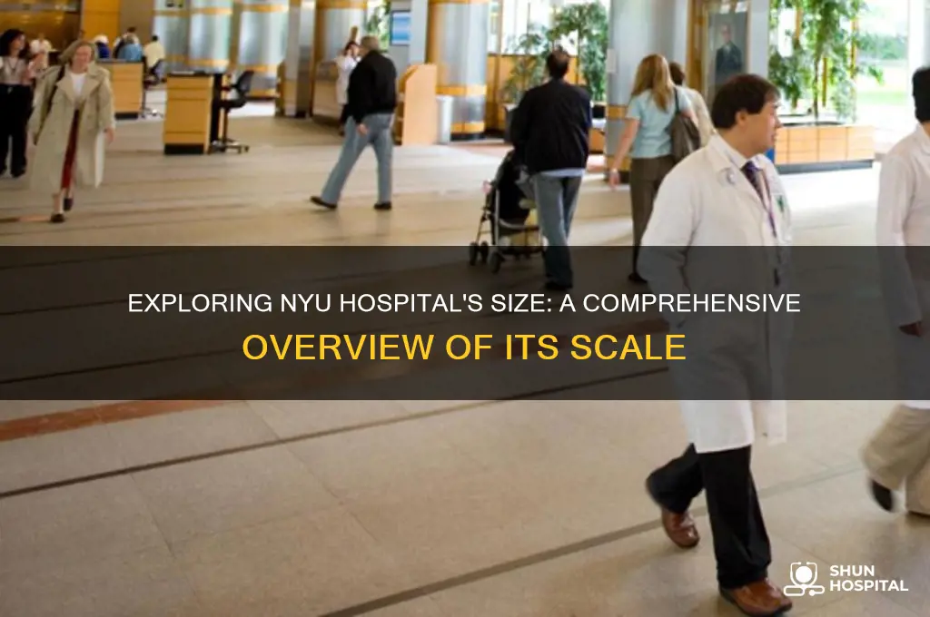 how large is nyu hospital