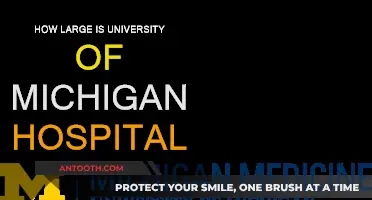 Michigan Medicine: A Sprawling Healthcare Hub