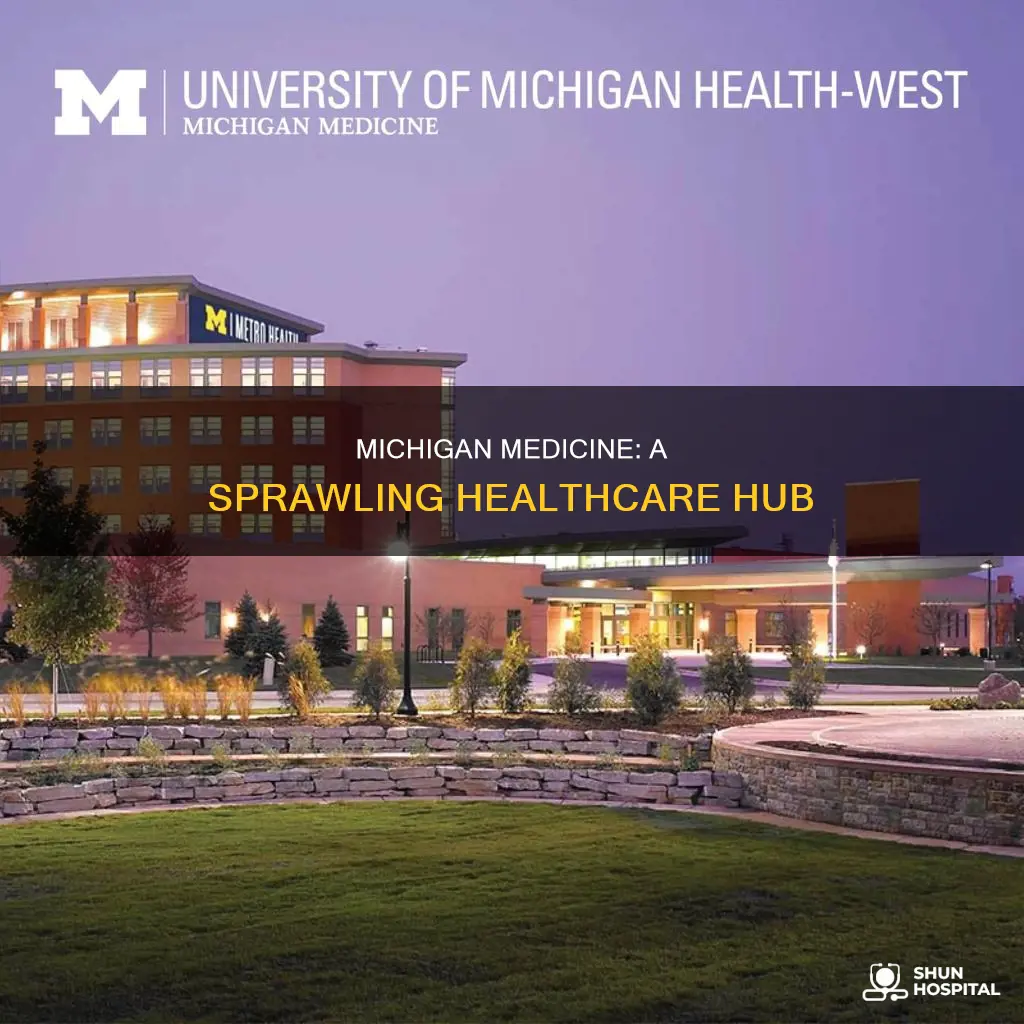 how large is university of michigan hospital