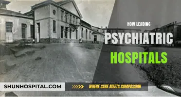 Innovative Practices in Leading Psychiatric Hospitals: Transforming Mental Health Care