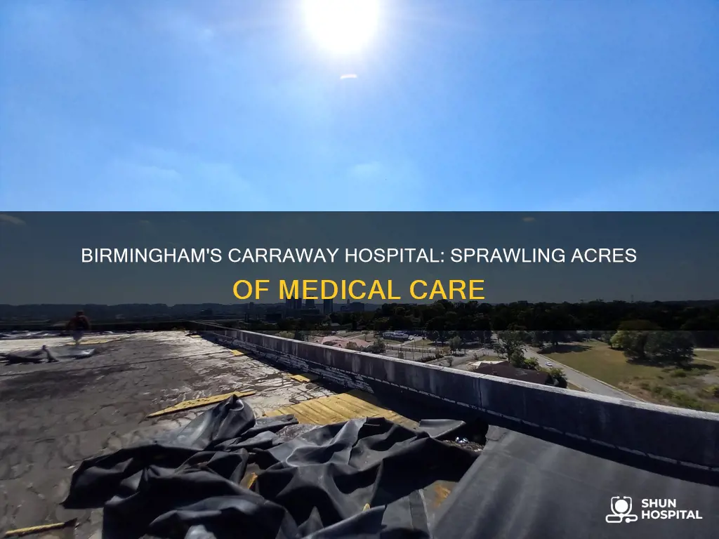 how many acres is carraway hospital birmingham