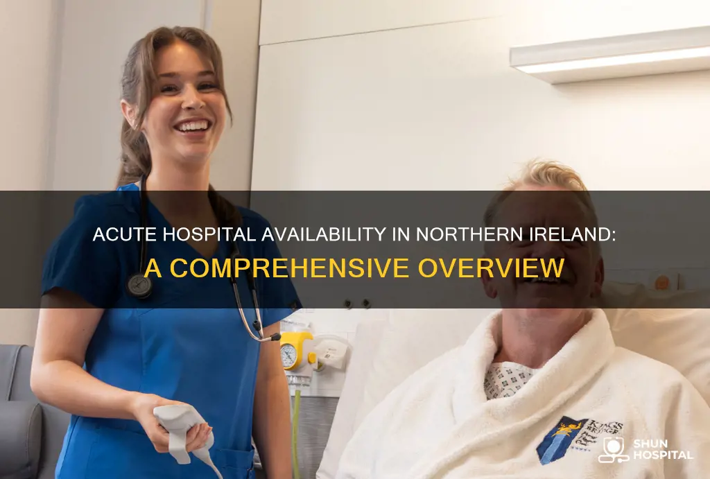 how many acute hospitals in northern ireland