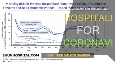 Coronavirus Hospitalizations: The American Crisis