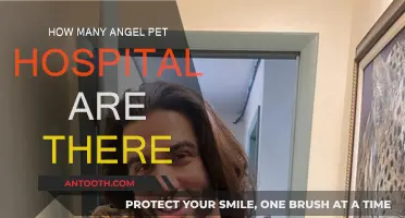 Angel Pet Hospitals: How Many Locations?