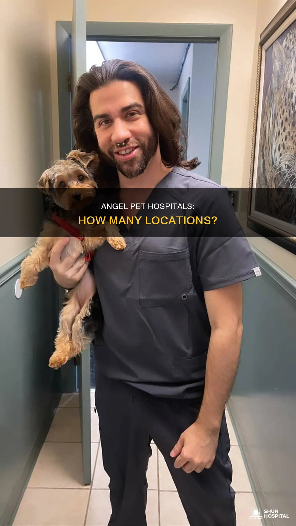 how many angel pet hospital are there