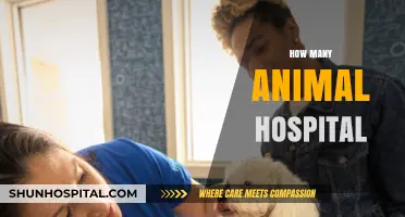 Exploring the Growing Number of Animal Hospitals Nationwide