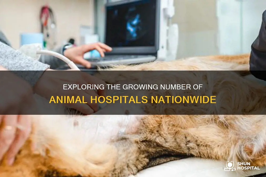 how many animal hospital