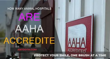 Accredited Animal Hospitals: How Many Are AHA-Approved?