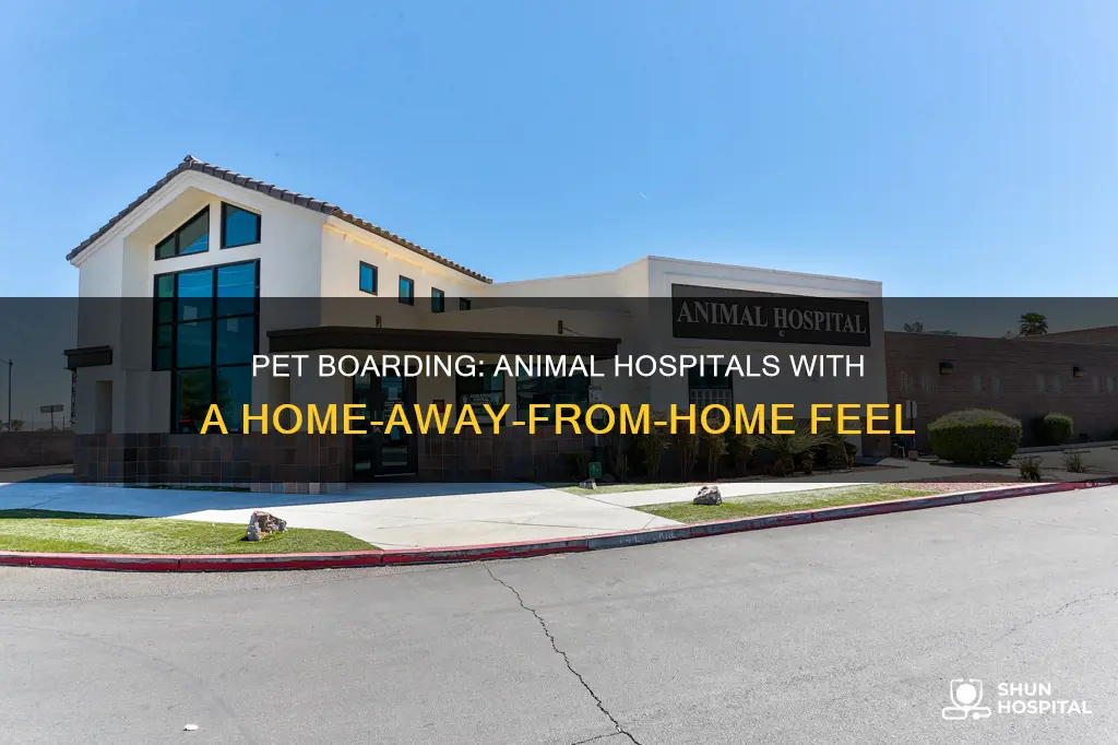 how many animal hospitals have pet boarding