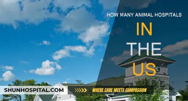 Animal Hospitals: How Many Are There in the US?